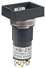 KB25RKG01